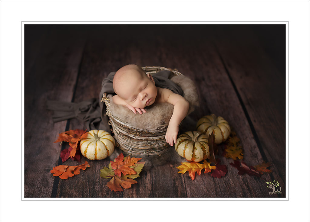 University Place newborn photography